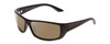 Profile View of Coyote P-59 Designer Polarized Reading Sunglasses with Custom Cut Powered Amber Brown Lenses in Matte Black Grey Unisex Wrap Full Rim Acetate 63 mm