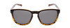 Front View of Coyote Rambler Unisex Designer Polarized Sunglasses in Black Tortoise/Grey 53 mm