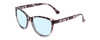 Profile View of Coyote Raven Designer Blue Light Blocking Eyeglasses in Purple Tortoise Brown Ladies Cateye Full Rim Acetate 54 mm