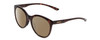 Profile View of Smith Optics Bayside Designer Polarized Sunglasses with Custom Cut Amber Brown Lenses in Tortoise Havana Brown Gold Unisex Cateye Full Rim Acetate 54 mm