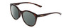 Profile View of Smith Optics Bayside Designer Polarized Sunglasses with Custom Cut Smoke Grey Lenses in Tortoise Havana Brown Gold Unisex Cateye Full Rim Acetate 54 mm