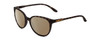 Profile View of Smith Optics Cheetah Designer Polarized Sunglasses with Custom Cut Amber Brown Lenses in Matte Ash Tortoise Brown Grey Ladies Cateye Full Rim Acetate 54 mm