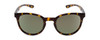 Front View of Smith Eastbank Round Sunglasses Tortoise Brown Gold/CP Polarized Gray Green 52mm