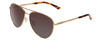 Profile View of Smith Layback Unisex Aviator Sunglasses Matte Gold/Polarized Brown Gradient 60mm