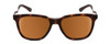 Smith Roam Classic Sunglasses in Matte Tortoise Gold & ChromaPop Polarized Brown