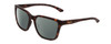 Profile View of Smith Optics Shoutout Designer Polarized Reading Sunglasses with Custom Cut Powered Smoke Grey Lenses in Matte Tortoise Havana Brown Gold Unisex Retro Full Rim Acetate 57 mm