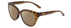 Profile View of Smith Optics Era Designer Polarized Sunglasses with Custom Cut Amber Brown Lenses in Vintage Tortoise Havana Gold Ladies Cateye Full Rim Acetate 55 mm