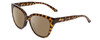 Profile View of Smith Optics Era Designer Polarized Reading Sunglasses with Custom Cut Powered Amber Brown Lenses in Vintage Tortoise Havana Gold Ladies Cateye Full Rim Acetate 55 mm
