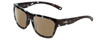 Profile View of Smith Optics Joya Designer Polarized Sunglasses with Custom Cut Amber Brown Lenses in Sky Tortoise Havana Marble Brown Ladies Square Full Rim Acetate 56 mm