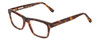 Profile View of Ernest Hemingway H4665 Designer Single Vision Prescription Rx Eyeglasses in Matte Tortoise Havana Brown Yellow Unisex Cateye Full Rim Acetate 53 mm