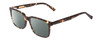 Profile View of Ernest Hemingway H4697 Designer Polarized Reading Sunglasses with Custom Cut Powered Smoke Grey Lenses in Gloss Tortoise Havana Brown Yellow Unisex Square Full Rim Acetate 53 mm