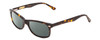 Profile View of Ernest Hemingway H4730 Designer Polarized Reading Sunglasses with Custom Cut Powered Smoke Grey Lenses in Tortoise Havana Brown Gold/Silver Stud Unisex Rectangle Full Rim Acetate 53 mm