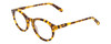 Profile View of Ernest Hemingway H4733 Designer Blue Light Blocking Eyeglasses in Gloss Tortoise Havana Yellow Gold Brown Ladies Cateye Full Rim Acetate 49 mm