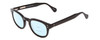 Profile View of Ernest Hemingway H4734 Designer Progressive Lens Blue Light Blocking Eyeglasses in Gloss Black Unisex Cateye Full Rim Acetate 49 mm