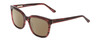 Profile View of Ernest Hemingway H4736 Designer Polarized Sunglasses with Custom Cut Amber Brown Lenses in Burgundy Red Plum Marbled Lines Unisex Cateye Full Rim Acetate 53 mm