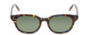 Front View of Ernest Hemingway H4739 Unisex Cateye Sunglasses in Blue Gold Tortoise&Green 53mm