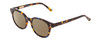 Profile View of Ernest Hemingway H4739 Designer Polarized Reading Sunglasses with Custom Cut Powered Amber Brown Lenses in Gloss Blue Gold Brown Tortoise Havana Unisex Cateye Full Rim Acetate 53 mm