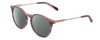 Profile View of Dragon Alliance DR520S LL HYPE Designer Polarized Sunglasses with Custom Cut Smoke Grey Lenses in Blush Wood Pink Marble Unisex Classic Full Rim Acetate 51 mm