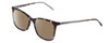 Profile View of DKNY DK500S Designer Polarized Reading Sunglasses with Custom Cut Powered Amber Brown Lenses in Teal Blue Crystal Tortoise Ladies Cateye Full Rim Acetate 54 mm