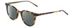 Profile View of DKNY DK507S Designer Polarized Reading Sunglasses with Custom Cut Powered Smoke Grey Lenses in Tokyo Beige Tortoise Ladies Cateye Full Rim Acetate 49 mm