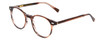 Profile View of Ernest Hemingway H4908 Designer Progressive Lens Blue Light Blocking Eyeglasses in Brown Amber Crystal Unisex Round Full Rim Acetate 49 mm