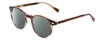 Profile View of Ernest Hemingway H4908 Designer Polarized Sunglasses with Custom Cut Smoke Grey Lenses in Brown Amber Crystal Unisex Round Full Rim Acetate 49 mm