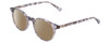 Profile View of Ernest Hemingway H4908 Designer Polarized Sunglasses with Custom Cut Amber Brown Lenses in Grey Crystal Smoke Marble Unisex Round Full Rim Acetate 49 mm