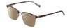 Profile View of Ernest Hemingway H4904 Designer Polarized Reading Sunglasses with Custom Cut Powered Amber Brown Lenses in Matte Grey Tortoise Havana/Gun Metal Unisex Cateye Full Rim Acetate 55 mm