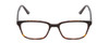 Front View of Ernest Hemingway H4811 Designer Reading Eye Glasses with Custom Cut Powered Lenses in Gloss Black/Auburn Brown Yellow Tortoise Havana Layered Unisex Cateye Full Rim Acetate 53 mm