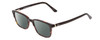 Profile View of Ernest Hemingway H4811 Designer Polarized Sunglasses with Custom Cut Smoke Grey Lenses in Gloss Black/Auburn Brown Yellow Tortoise Havana Layered Unisex Cateye Full Rim Acetate 53 mm