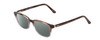 Profile View of Ernest Hemingway H4811 Designer Polarized Sunglasses with Custom Cut Smoke Grey Lenses in Brown Tortoise Havana/Grey Crystal Layered Unisex Cateye Full Rim Acetate 53 mm