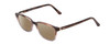 Profile View of Ernest Hemingway H4811 Designer Polarized Reading Sunglasses with Custom Cut Powered Amber Brown Lenses in Brown Tortoise Havana/Grey Crystal Layered Unisex Cateye Full Rim Acetate 53 mm