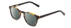 Profile View of Ernest Hemingway H4829 Designer Polarized Reading Sunglasses with Custom Cut Powered Smoke Grey Lenses in Antique Brown Yellow Tortoise Havana Black Unisex Round Full Rim Acetate 48 mm