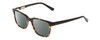 Profile View of Ernest Hemingway H4831 Designer Polarized Reading Sunglasses with Custom Cut Powered Smoke Grey Lenses in Brown Yellow Tortoise Havana/Gloss Black Unisex Rectangle Full Rim Acetate 50 mm