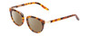 Profile View of Ernest Hemingway H4838 Designer Polarized Reading Sunglasses with Custom Cut Powered Amber Brown Lenses in Aurburn Brown Yellow Tortoise Havana/Gold Accents Ladies Cateye Full Rim Acetate 49 mm