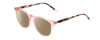 Profile View of Ernest Hemingway H4840 Designer Polarized Reading Sunglasses with Custom Cut Powered Amber Brown Lenses in Pink Crystal/Brown Rose Amber Glitter Tortoise Ladies Cateye Full Rim Acetate 50 mm