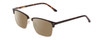 Profile View of Ernest Hemingway H4850 Designer Polarized Reading Sunglasses with Custom Cut Powered Amber Brown Lenses in Brown Auburn Tortoise Havana Gold Unisex Cateye Full Rim Acetate 58 mm