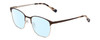 Profile View of Ernest Hemingway H4862 Designer Blue Light Blocking Eyeglasses in Satin Brown/Silver Geometric Pattern Unisex Cateye Full Rim Stainless Steel 52 mm