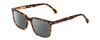 Profile View of Ernest Hemingway H4866 Designer Polarized Sunglasses with Custom Cut Smoke Grey Lenses in Brown Amber Tortoise/Silver Accent Unisex Cateye Full Rim Acetate 51 mm