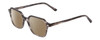 Profile View of Ernest Hemingway H4872 Designer Polarized Reading Sunglasses with Custom Cut Powered Amber Brown Lenses in Smoke Grey Crystal Tortoise Havana/Silver Accent Unisex Square Full Rim Acetate 50 mm