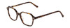 Profile View of Ernest Hemingway H4872 Designer Progressive Lens Blue Light Blocking Eyeglasses in Brown Amber Tortoise Havana/Silver Accent Unisex Square Full Rim Acetate 50 mm