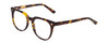 Profile View of Ernest Hemingway H4900 Designer Progressive Lens Blue Light Blocking Eyeglasses in Gloss Brown Amber Tortoise Havana/Silver Accents Unisex Cateye Full Rim Acetate 52 mm