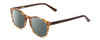 Profile View of Ernest Hemingway H4903 Designer Polarized Sunglasses with Custom Cut Smoke Grey Lenses in Demi-Tortoise Havana Brown Ladies Cateye Full Rim Acetate 49 mm