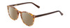 Profile View of Ernest Hemingway H4903 Designer Polarized Reading Sunglasses with Custom Cut Powered Amber Brown Lenses in Demi-Tortoise Havana Brown Ladies Cateye Full Rim Acetate 49 mm