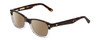 Profile View of Ernest Hemingway H4906 Designer Polarized Sunglasses with Custom Cut Amber Brown Lenses in Auburn Brown Tortoise Havana Clear Crystal 2 Tone/Gold Studs Unisex Cateye Full Rim Acetate 51 mm
