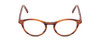 Front View of Ernest Hemingway H4912 Designer Reading Eye Glasses with Custom Cut Powered Lenses in Blonde Amber Brown Marbled Lines/Silver Accents Unisex Round Full Rim Acetate 47 mm