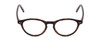 Front View of Ernest Hemingway H4912 Designer Single Vision Prescription Rx Eyeglasses in Amber Brown Leopard Animal Print/Silver Accents Unisex Round Full Rim Acetate 47 mm