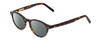 Profile View of Ernest Hemingway H4912 Designer Polarized Sunglasses with Custom Cut Smoke Grey Lenses in Amber Brown Leopard Animal Print/Silver Accents Unisex Round Full Rim Acetate 47 mm