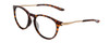Profile View of Smith Optics Wander Designer Reading Eye Glasses with Custom Cut Powered Lenses in Tortoise Havana Brown Gold Unisex Round Full Rim Acetate 55 mm