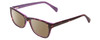 Profile View of Splash 60 Designer Polarized Sunglasses with Custom Cut Amber Brown Lenses in Demi Tortoise Lilac Purple  Ladies Cateye Full Rim Acetate 53 mm